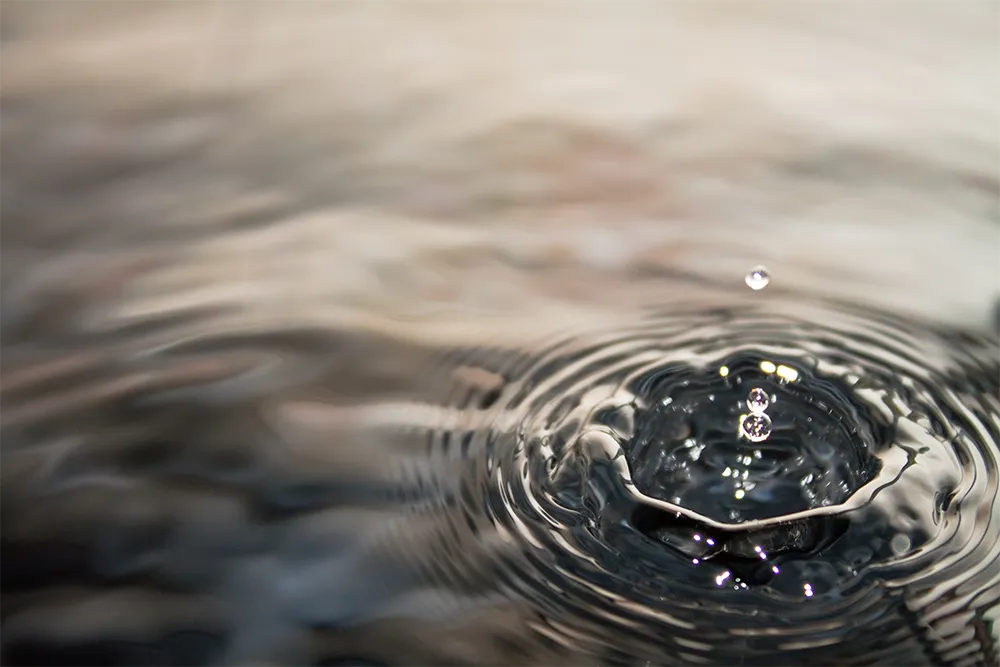 Traitement et amélioration de l’eau Traitement de l’eau avec des bactéries naturelles – Une solution efficace